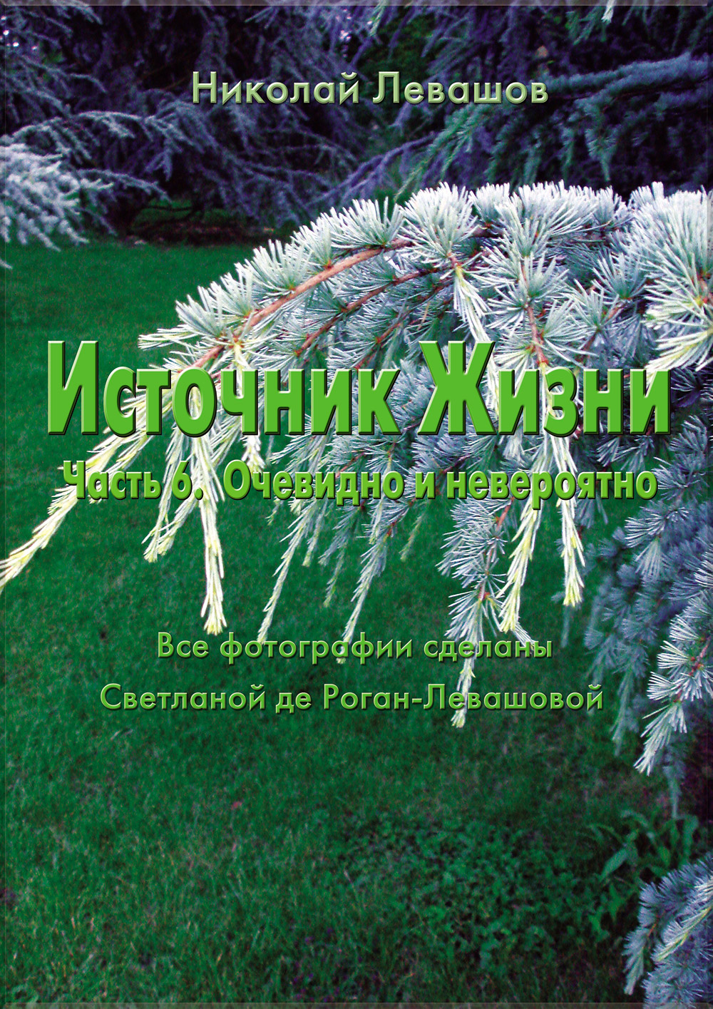 Источник Жизни. Статья 6.