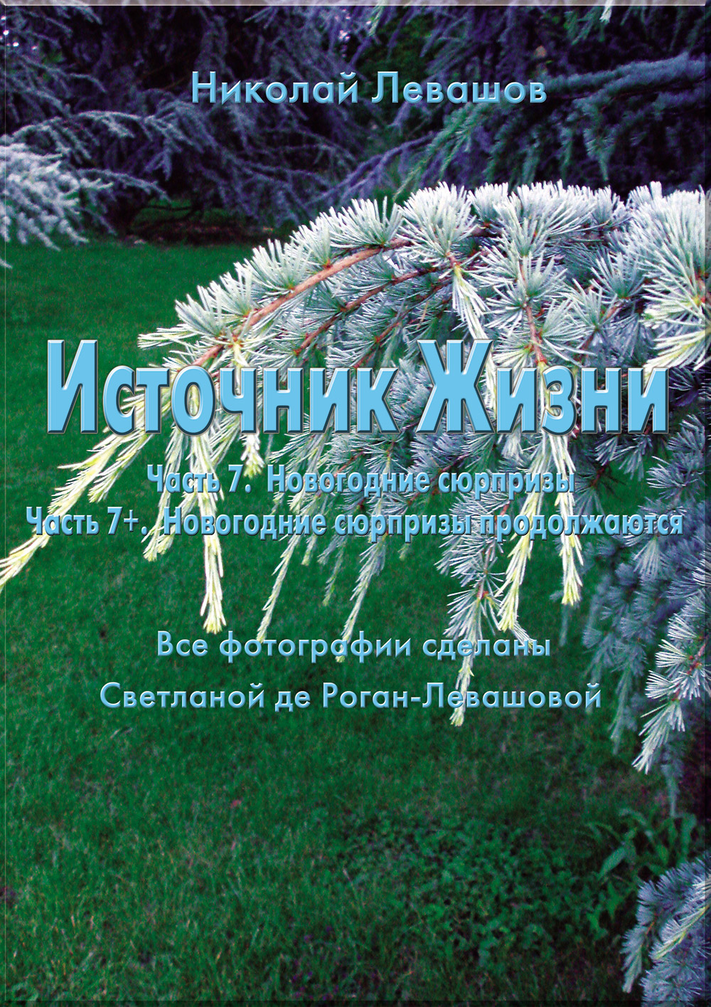 Источник Жизни. Статья 7.