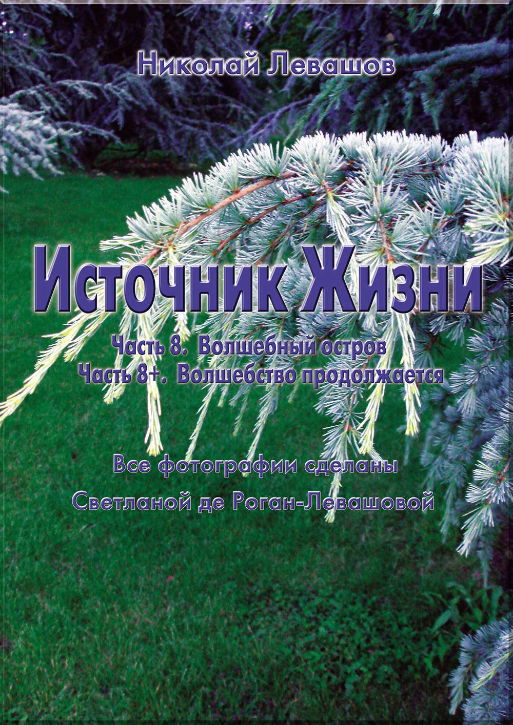 Источник Жизни. Статья 8.