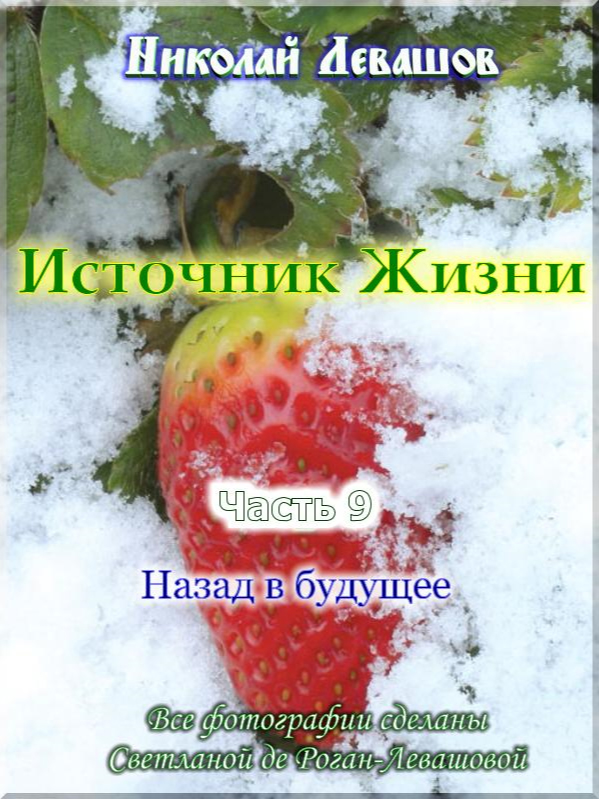 Источник Жизни. Статья 9.
