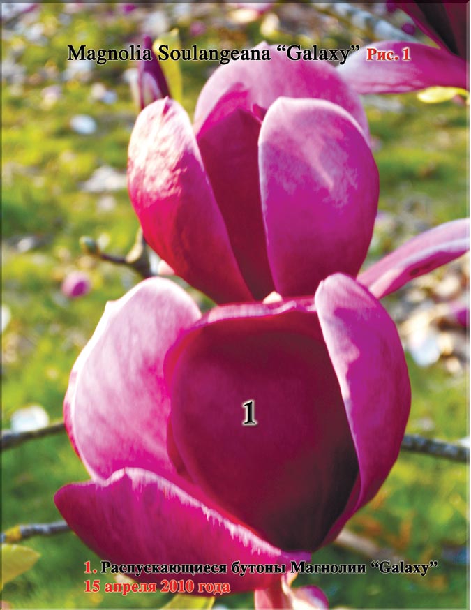 Часть 10. Вперёд в будущее. 2010-2011 год — 01
