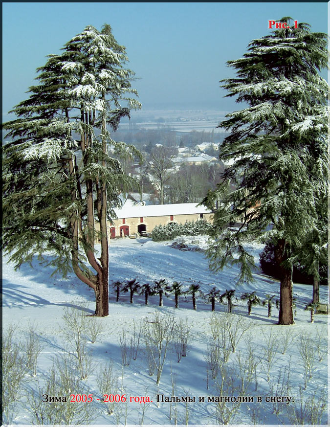 Часть 2. 2006 год — 01