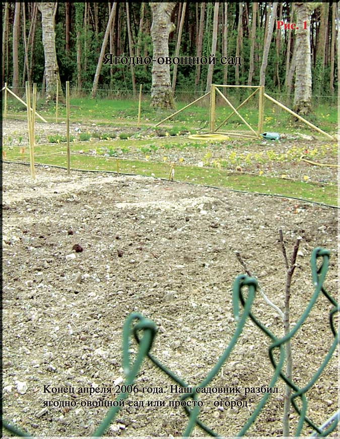 Часть 3. 2007 год — 01