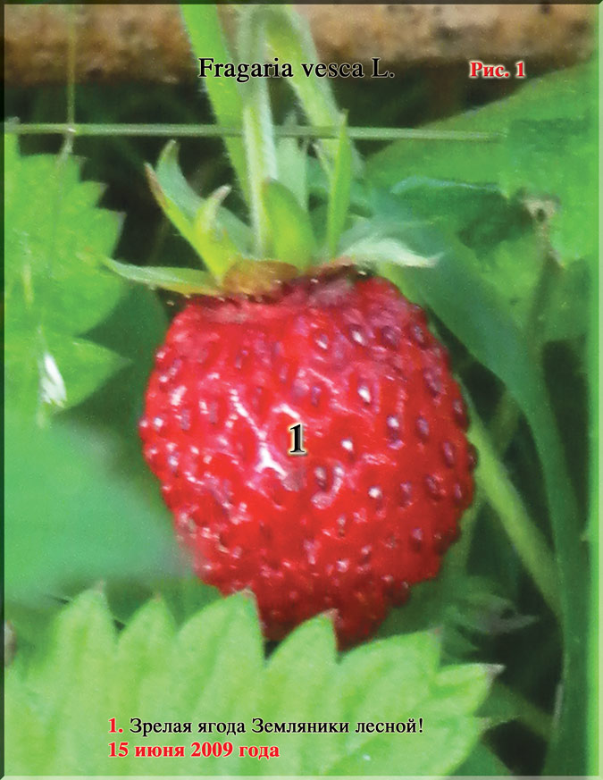 Часть 9. Назад в будущее. 2010 год — 01