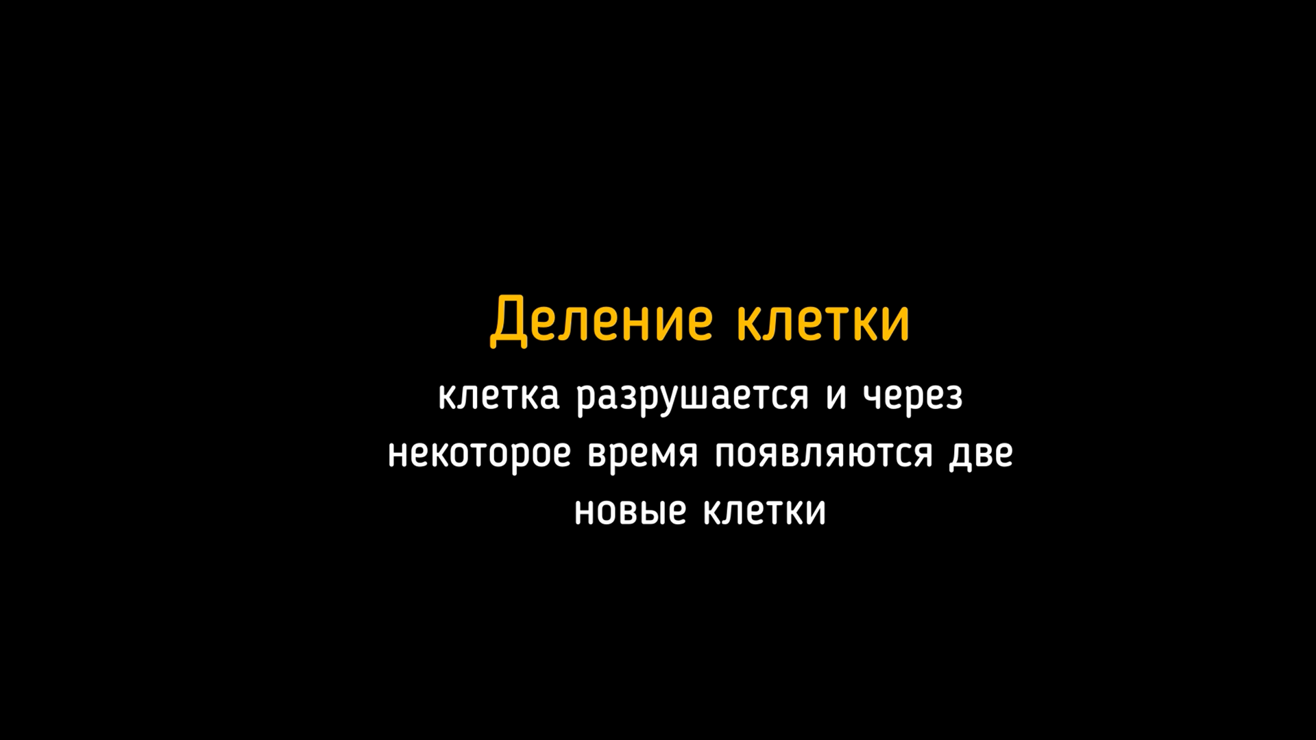 Деление клеток под микроскопом.